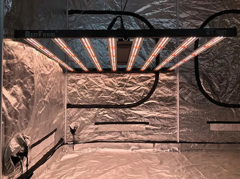 Why-Choose-an-800W-Grow-Light-RedFarm-s-Innovation-for-Thriving-Indoor-Gardens RedFarm