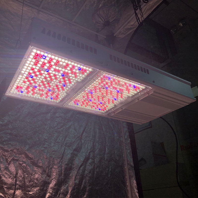 Redfarm Redfarm Gavita CT 1930E 820W LED Grow light full Spectrum