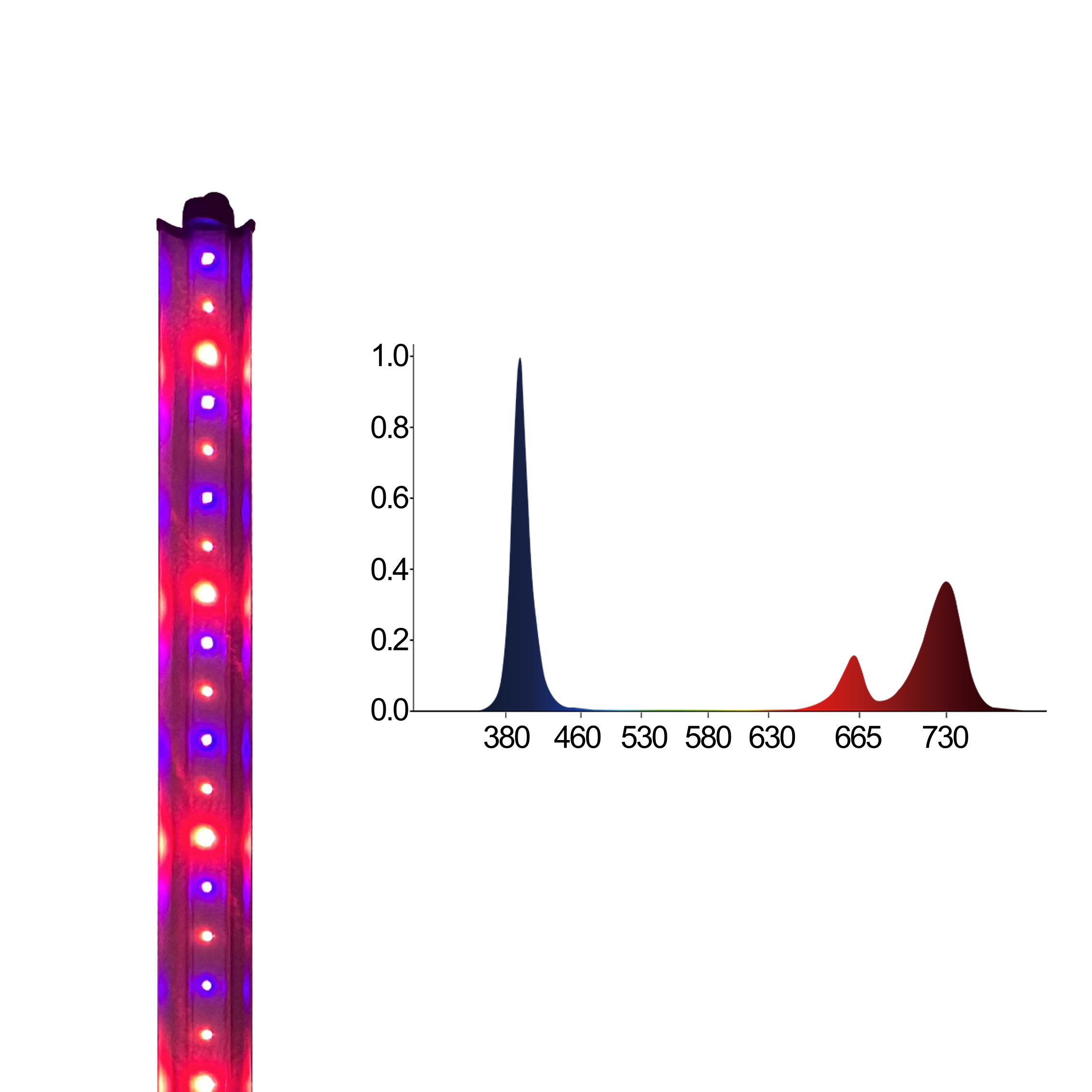 Redfarm 30W UV IR LED Grow Bar RedFarm