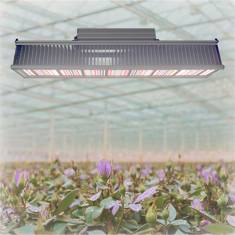Greenhouse High Efficacy 500w Full Spectrum Led Grow Lights 0-100% Dimmer Samsung Chips for Flowering Stage