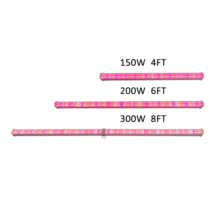 Redfarm under canopy led Grow Light 30% increase in production Best LED lights for plant growth RedFarm
