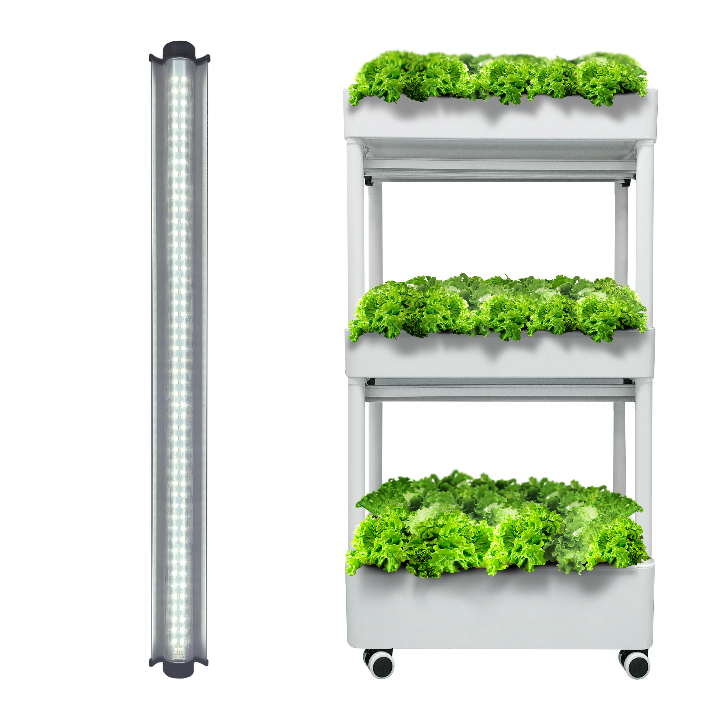 RedFarm Clone LED Grow Light Strip - Full Spectrum Plant Cloning Light for Hydroponic Seedlings & Indoor Propagation RedFarmLED