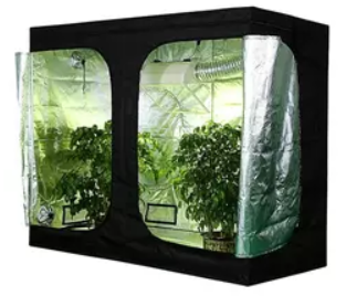 Redfarm Growbox 240*120*200cm Grow Tent