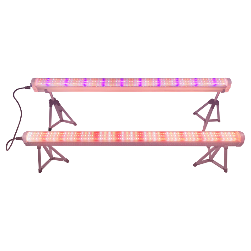 Redfarm under canopy led Grow Light 30% increase in production Best LED lights for plant growth RedFarm