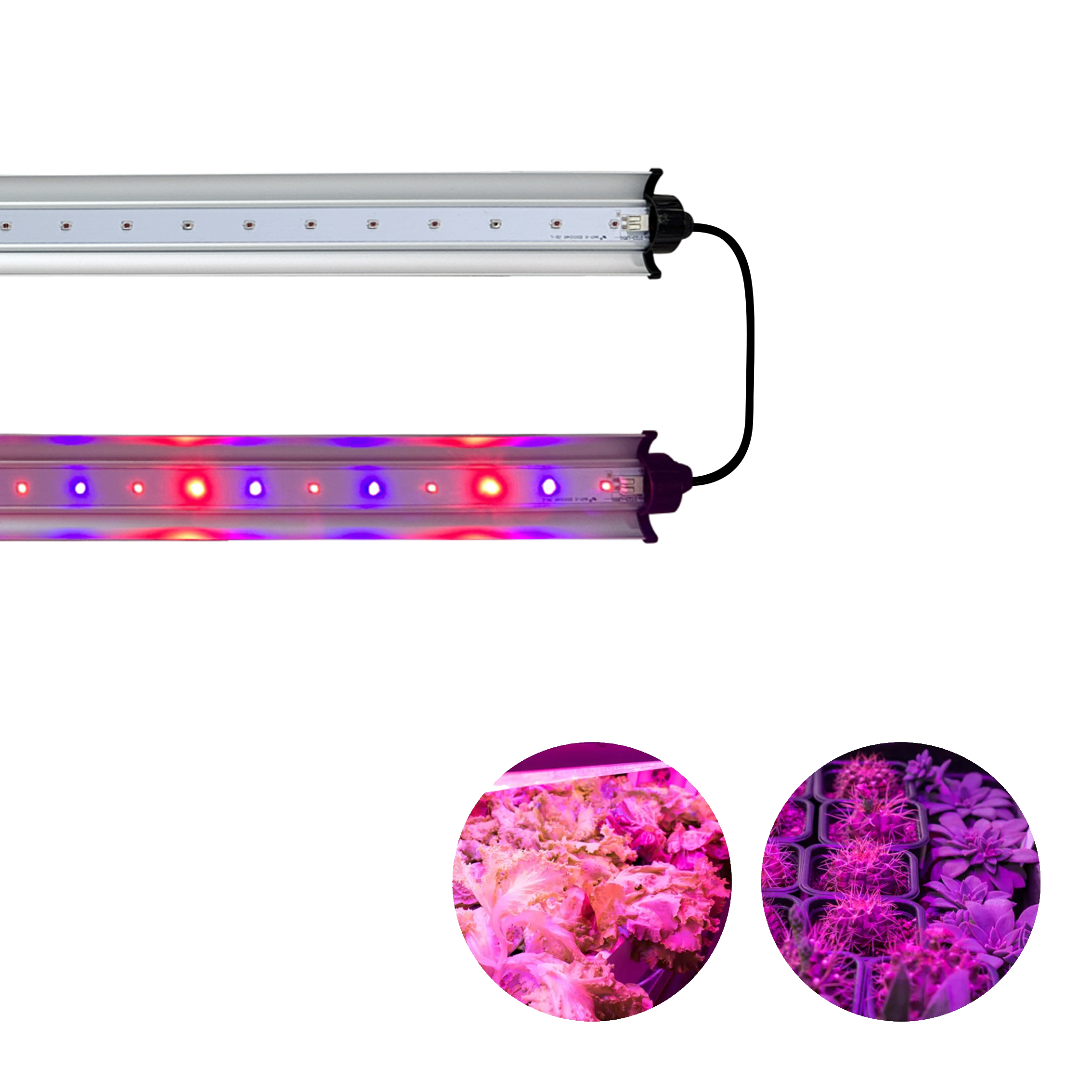 Redfarm 30W UV IR LED Grow Bar RedFarm