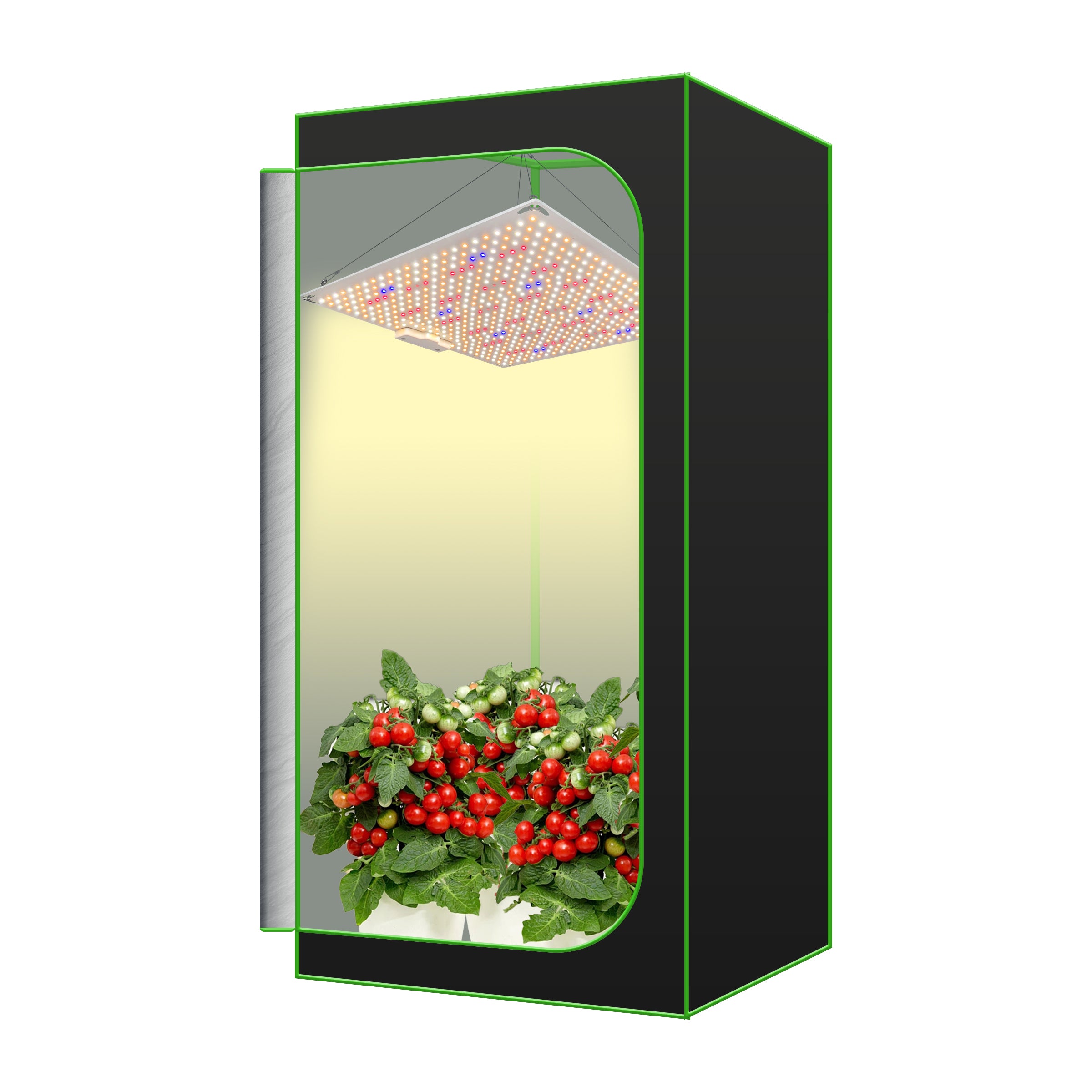 Redfarm RQ200 Samsung Quantum Board 200w