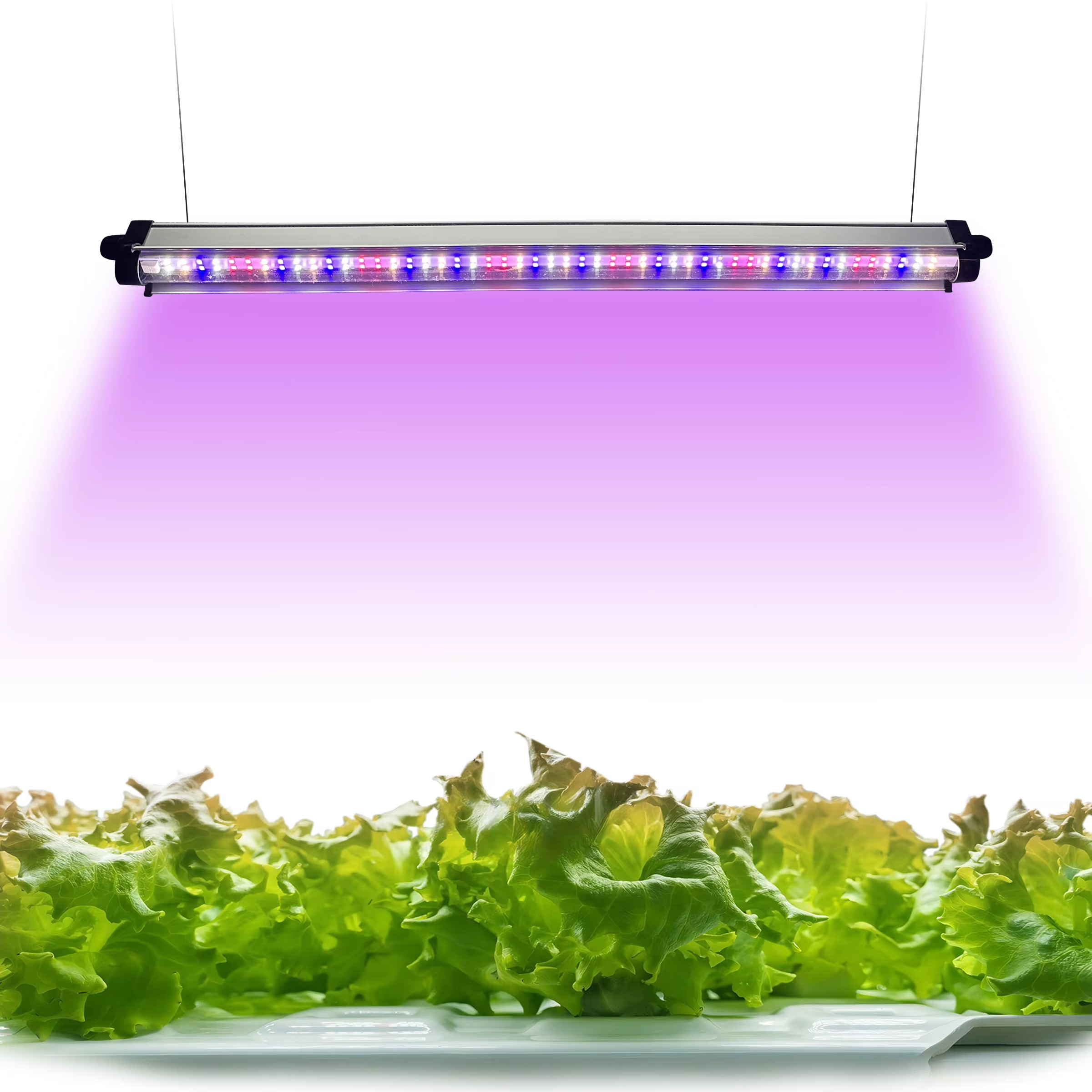 Redfarm 30w 45w 60w Seedling Cloning Led Grow Light Indoor plant growth lights Hydroponic grow lights RedFarm