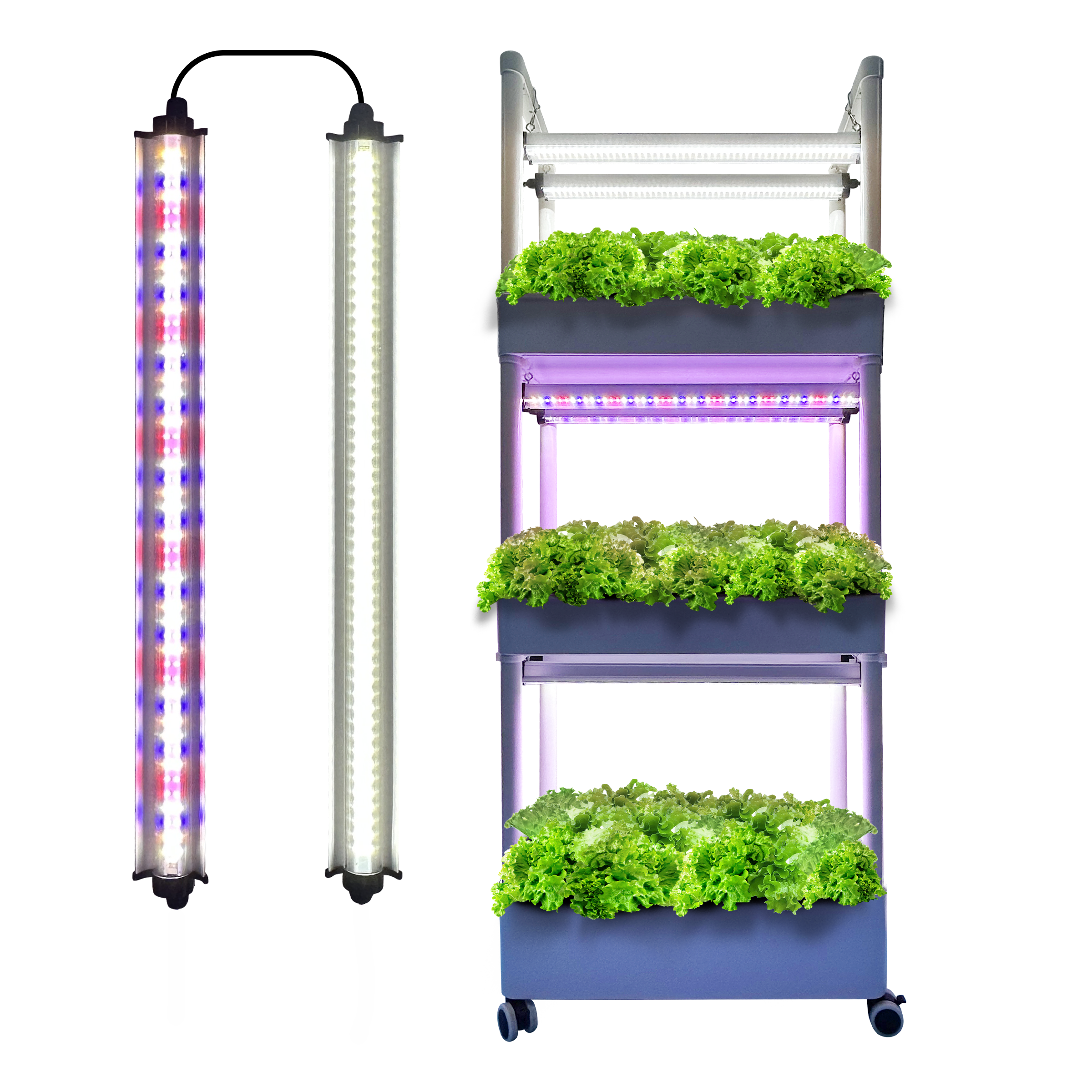 Redfarm 30w 45w 60w Seedling Cloning Led Grow Light Indoor plant growth lights Hydroponic grow lights RedFarm
