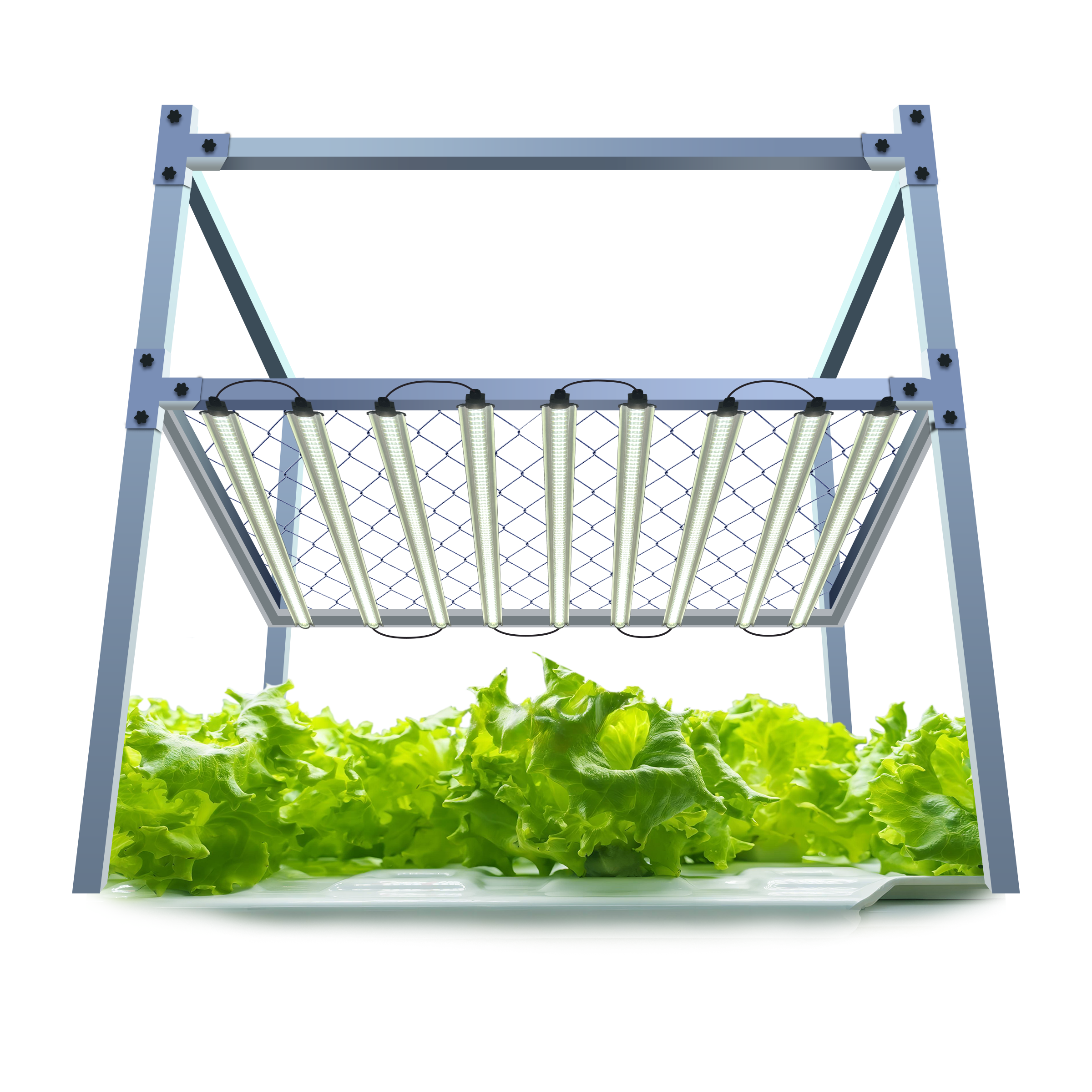 RedFarm Clone LED Grow Light Strip - Full Spectrum Plant Cloning Light for Hydroponic Seedlings & Indoor Propagation RedFarmLED