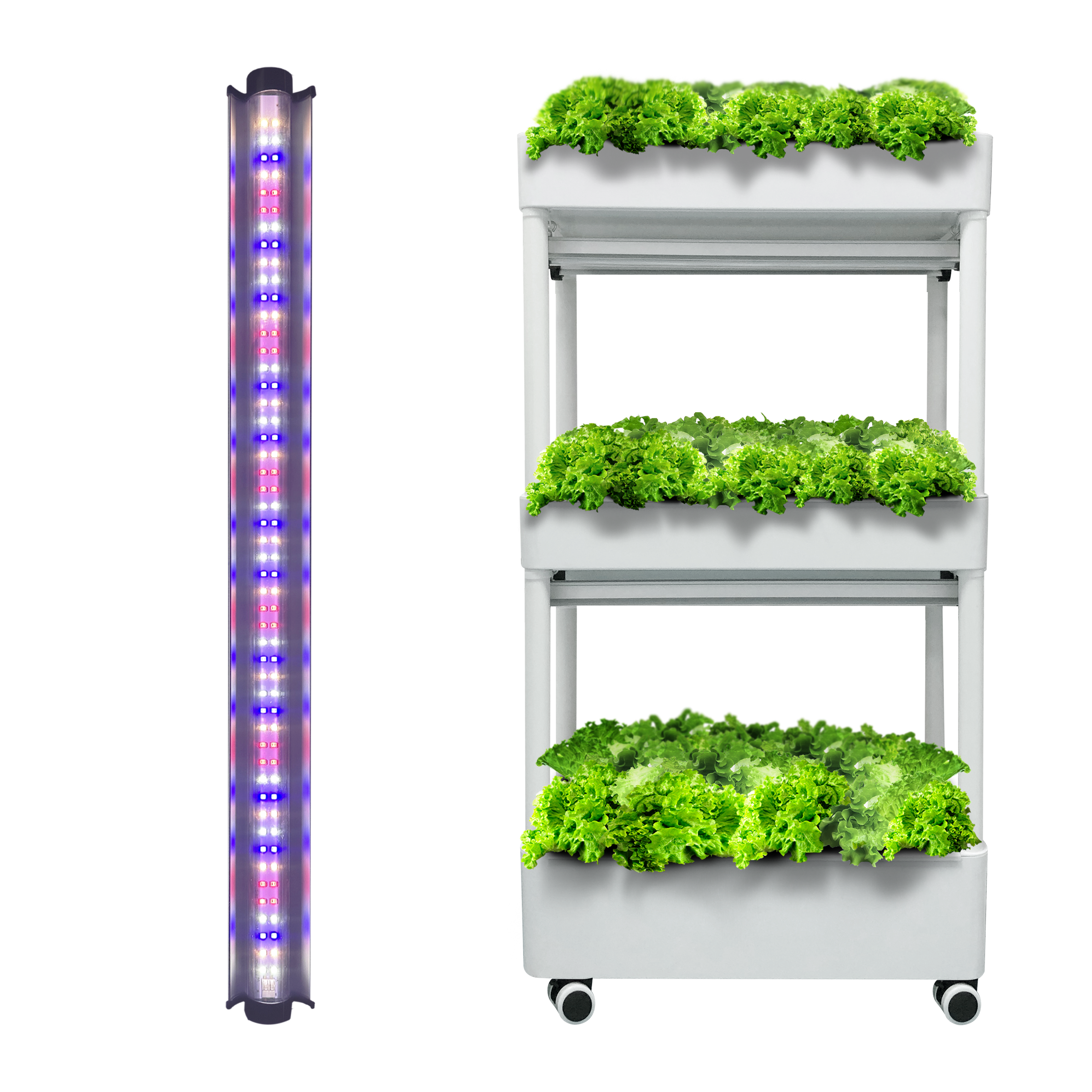 Redfarm 30w 45w 60w Seedling Cloning Led Grow Light Indoor plant growth lights Hydroponic grow lights RedFarm