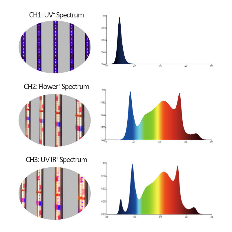 Redfarm BT 1200W UV IR Samsung 4x8ft Led Gorw Light Full Spectrum