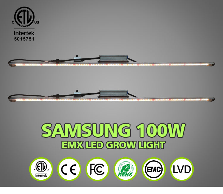 100w grow light