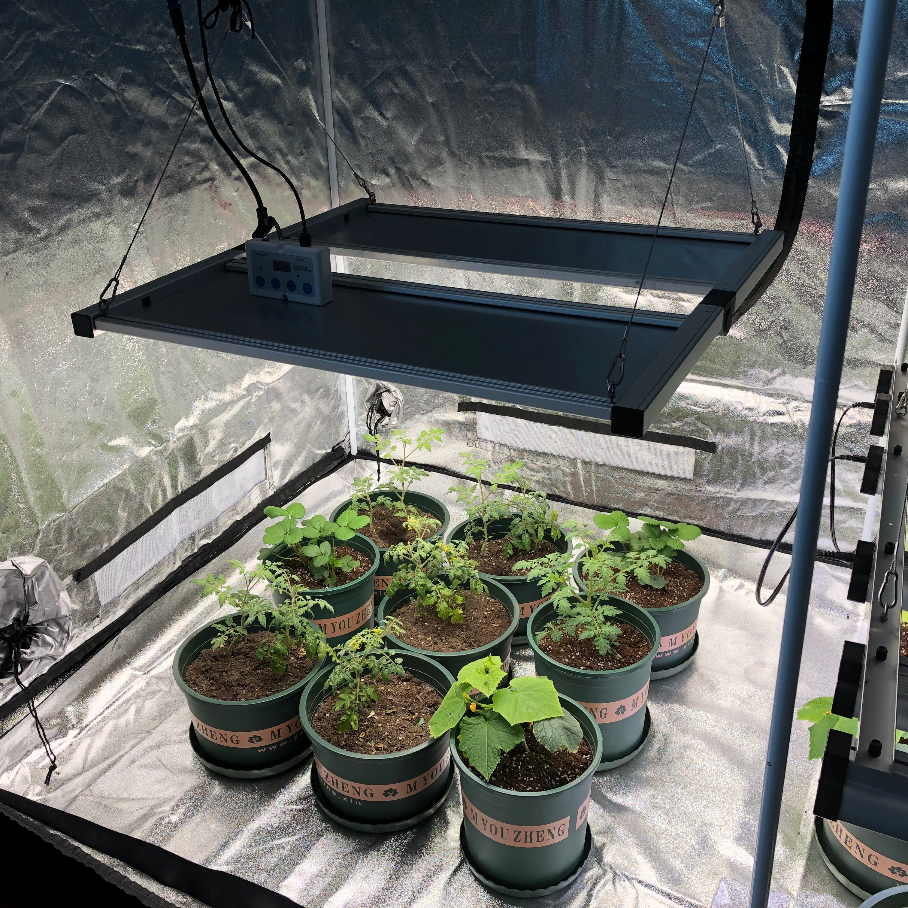 Redfarm G1 Quantum 650W board UV IR  LED Grow Light