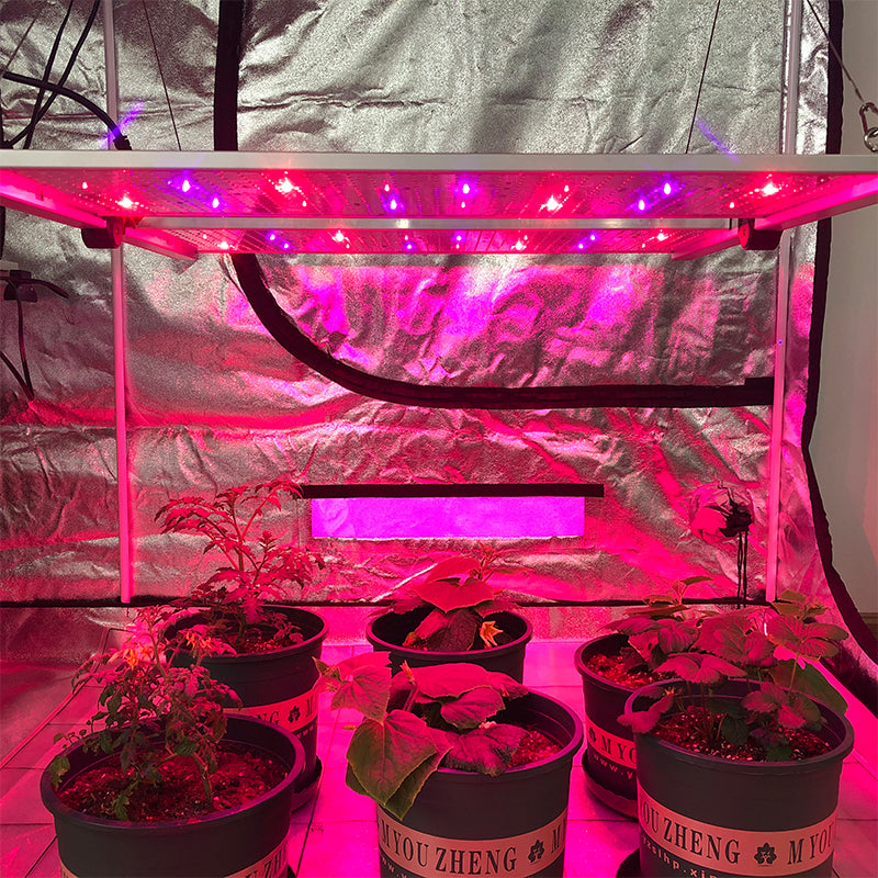Redfarm G1 Quantum 650W board UV IR LED Grow Light