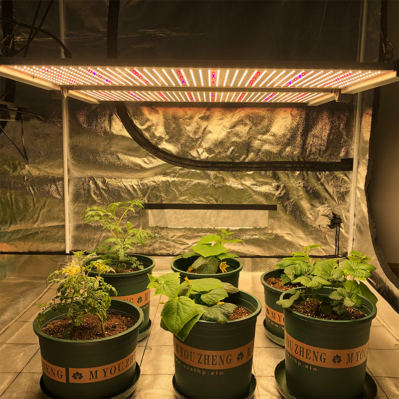 Redfarm G1 Quantum 650W board UV IR  LED Grow Light