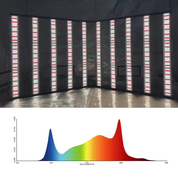 RedFarm 4x8ft 1200w Led Grow Light Full Spectrum for Indoor Plants 1200w 1500w Full Spectrum Grow Lights Led High Efficacy RedFarm