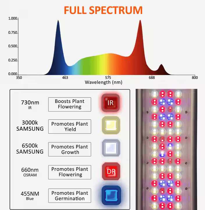 Redfarm Led Grow Light Best Comercial 1000w Grow Led Top Light Optical Lens 1000w Dimmable Led Grow Light RedFarmLED