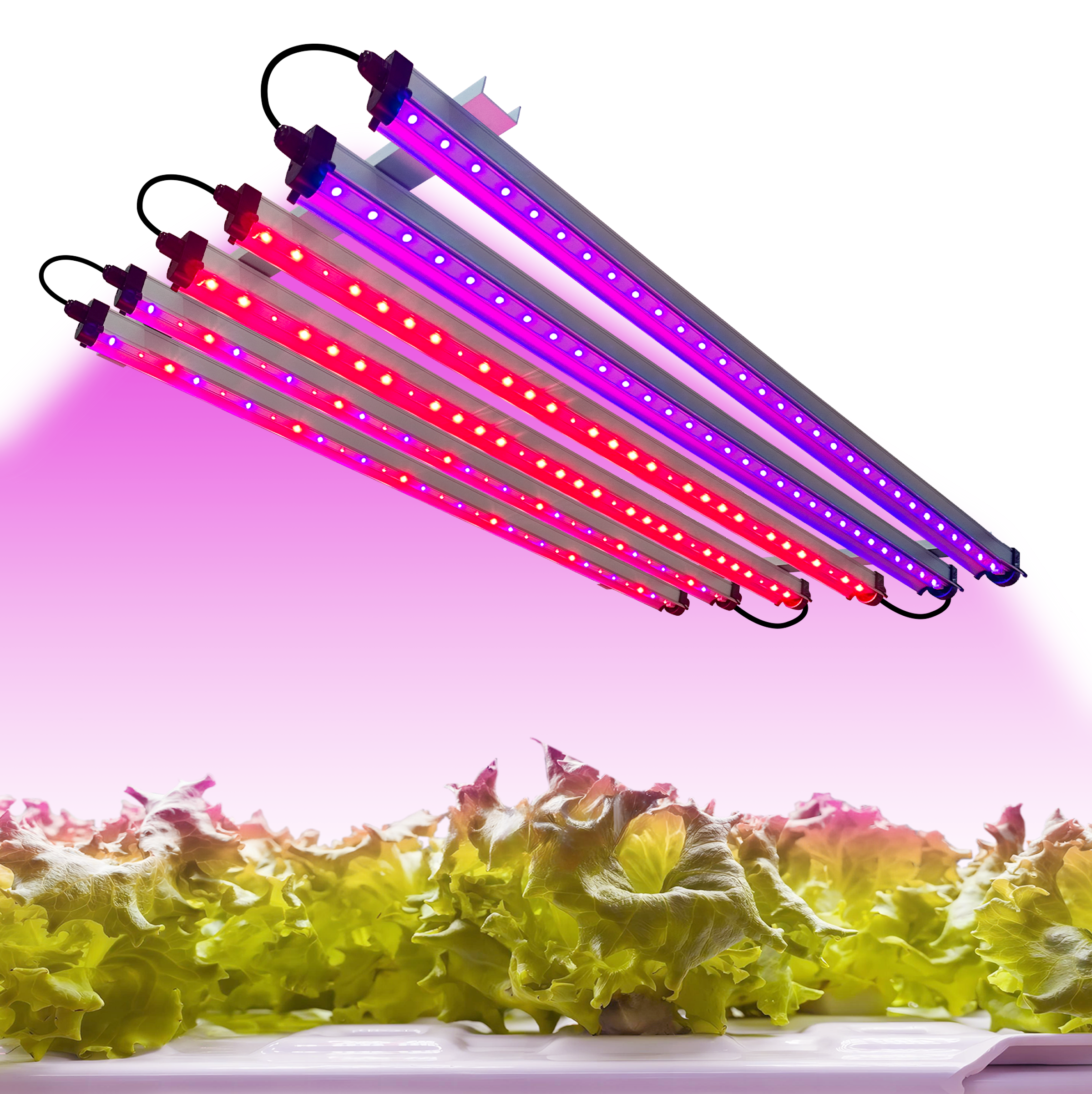 Redfarm 30W UV IR LED Grow Bar RedFarm
