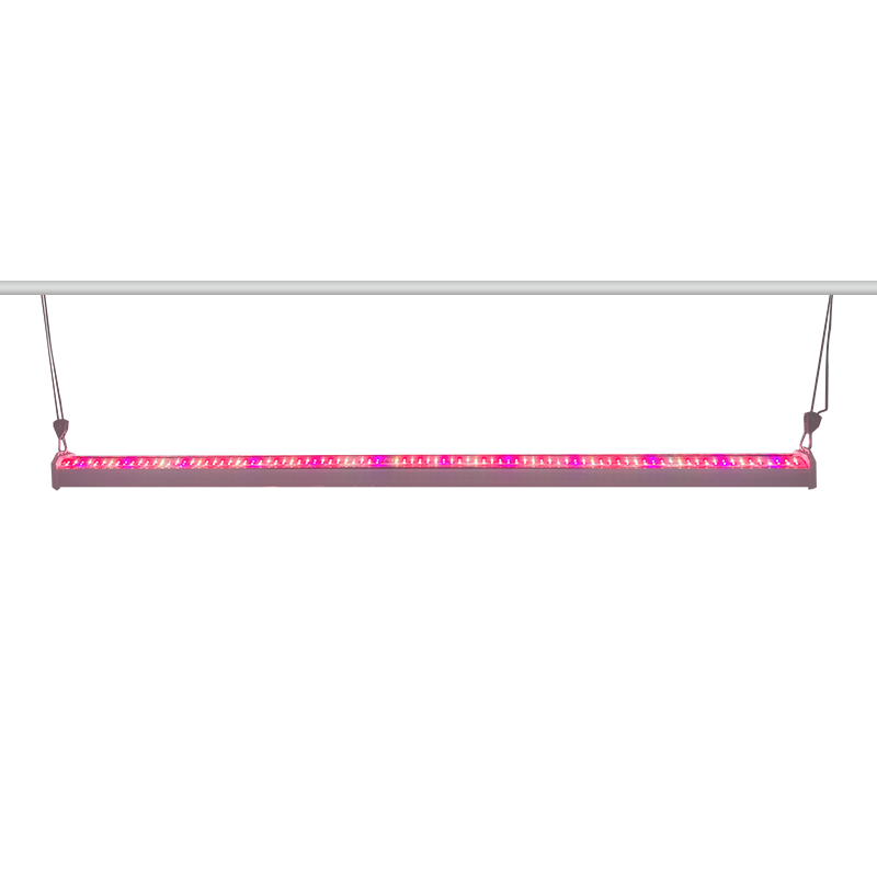Redfarm Height Adjustable 150W 200W Under Canopy Grow Lights With Samsung Chips Daisy Chain Increase Harvest LED Grow Light