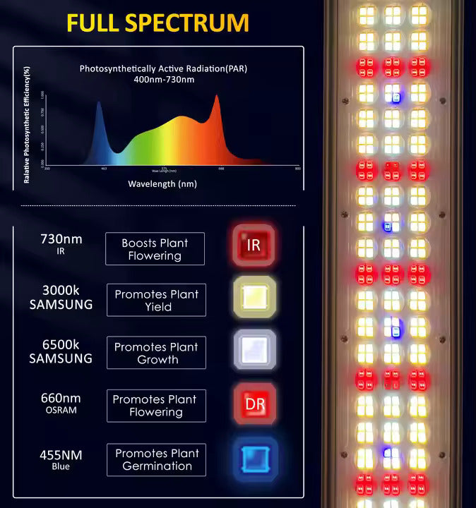 Redfarm Full Spectrum 800W 1000W RJ12 Controller Original Lm281b Led Grow Light 4x4 Bar Uniform PPFD Grow Light