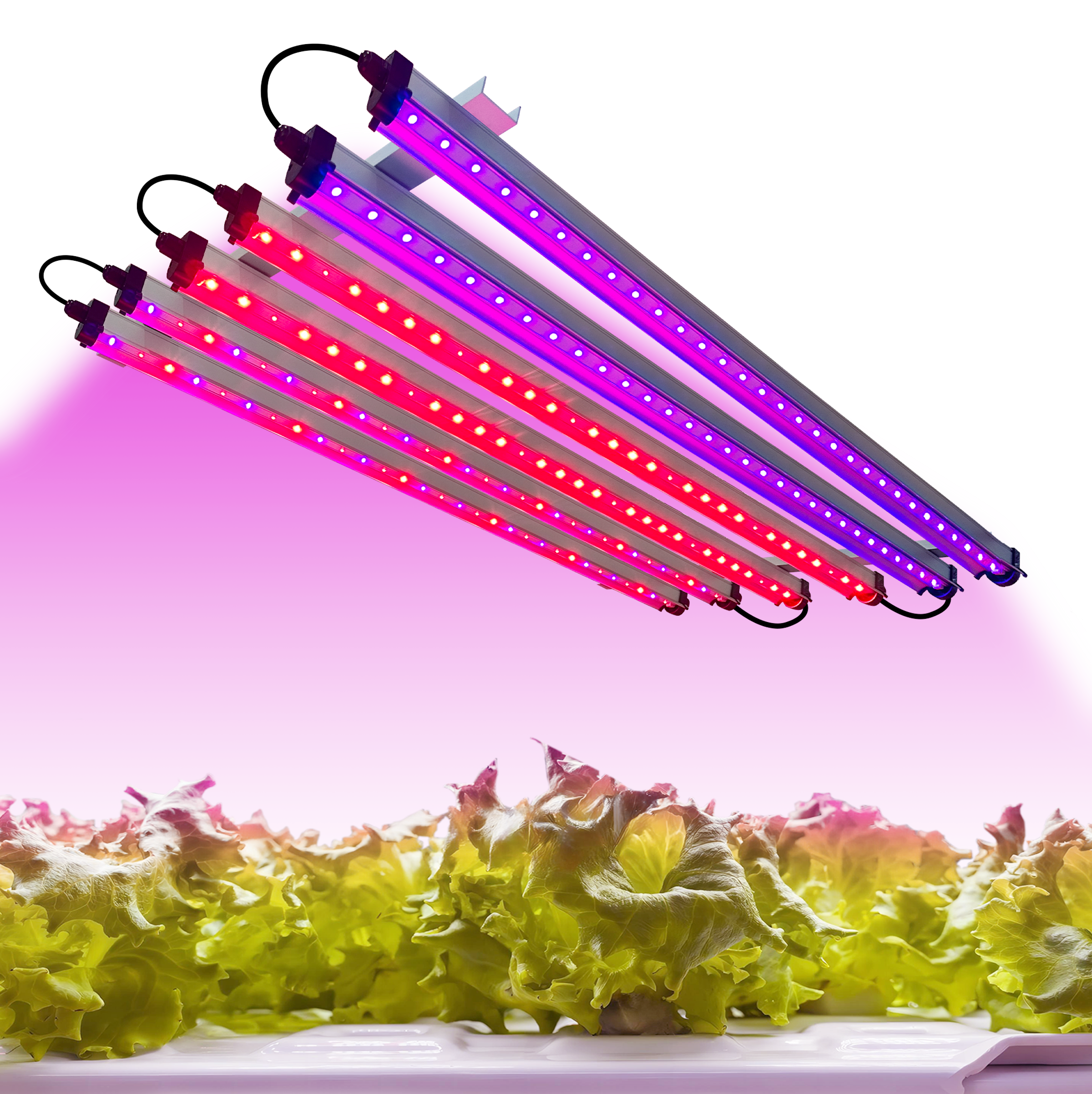 Redfarm 30W UV IR LED Grow Bar